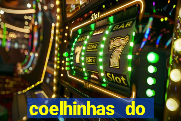 coelhinhas do brasil site